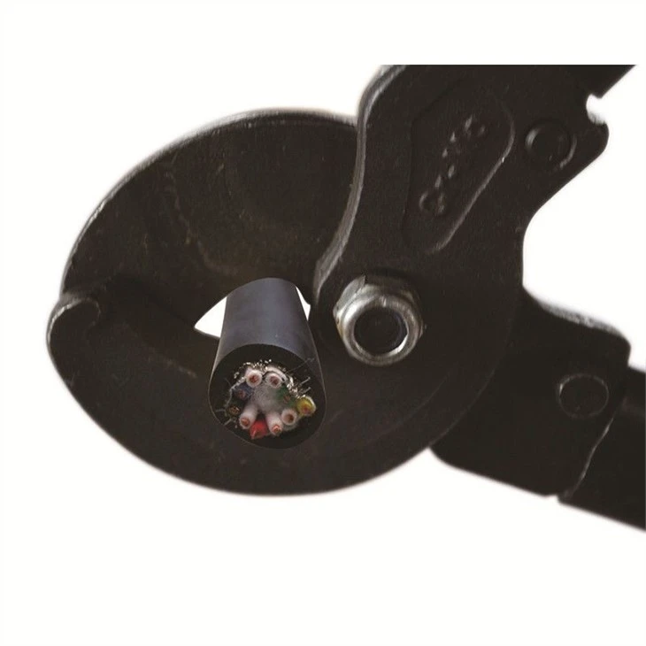 Bolt Cutter and Replaced Blades